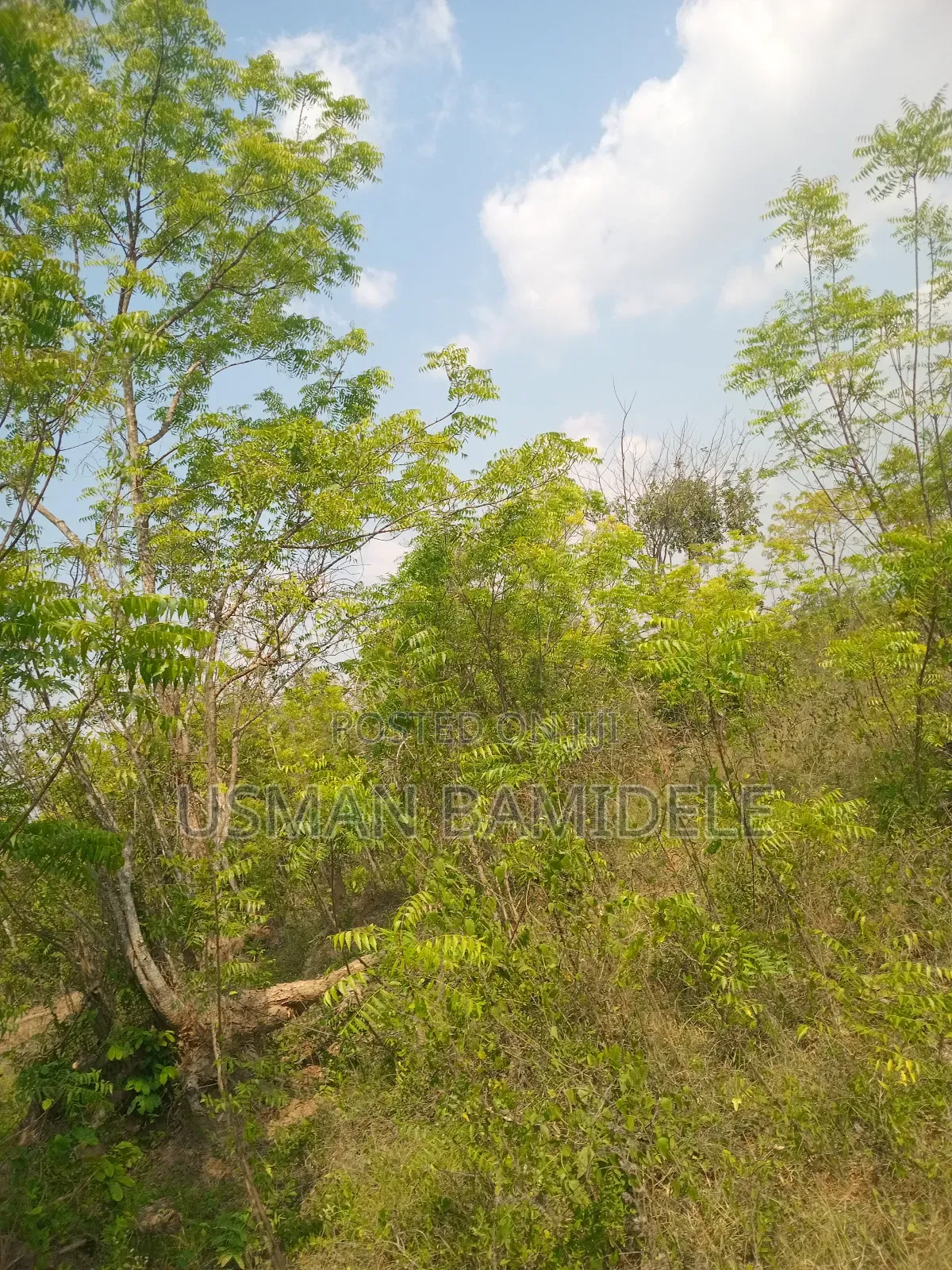 Land for Sale