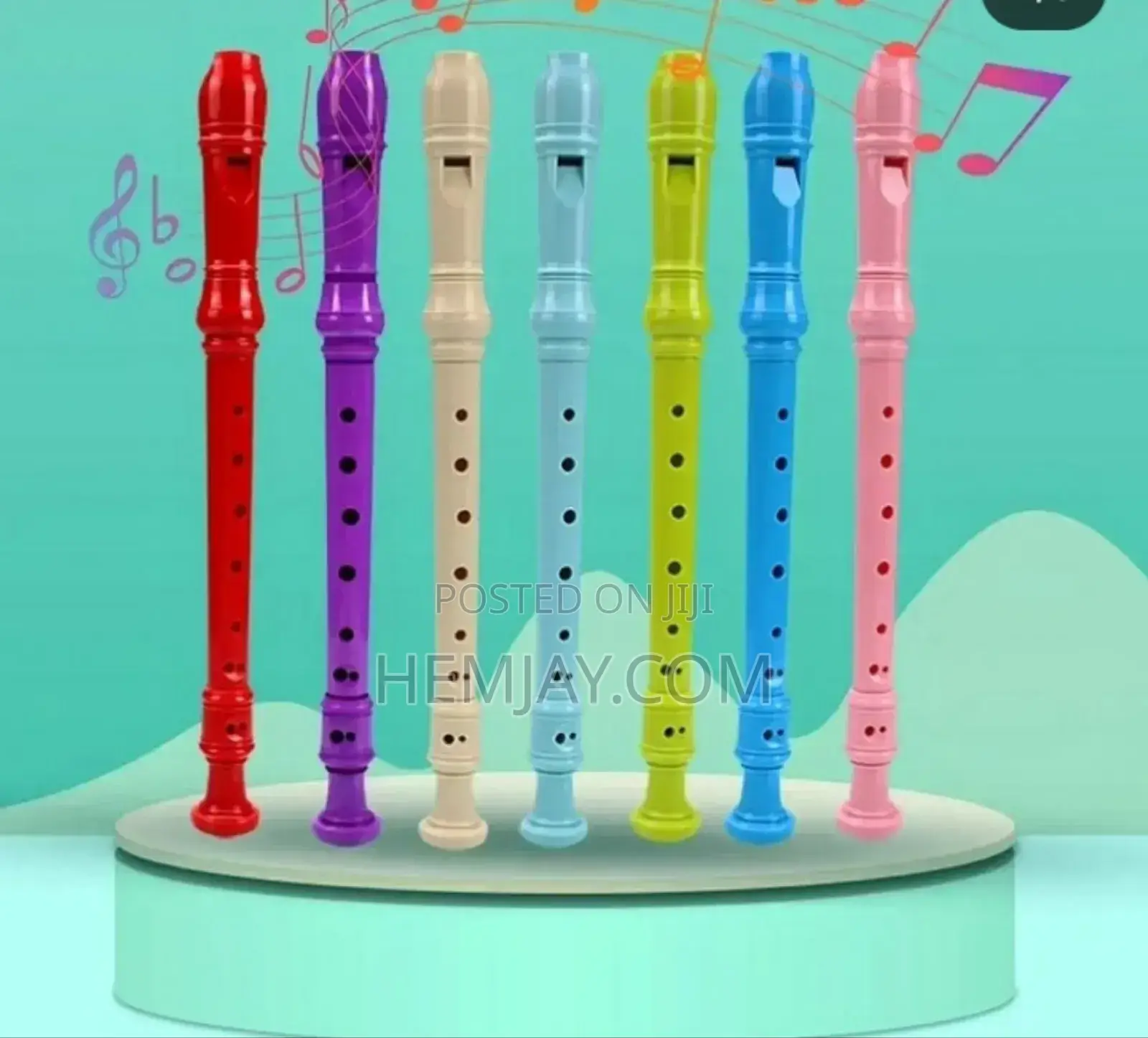 (12pcs) Standard Size Musical Recorder/Flutes
