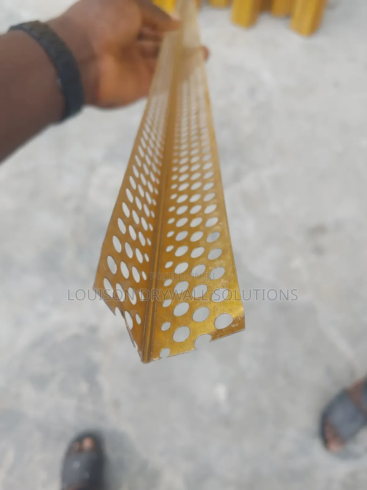 Golden Conerbead