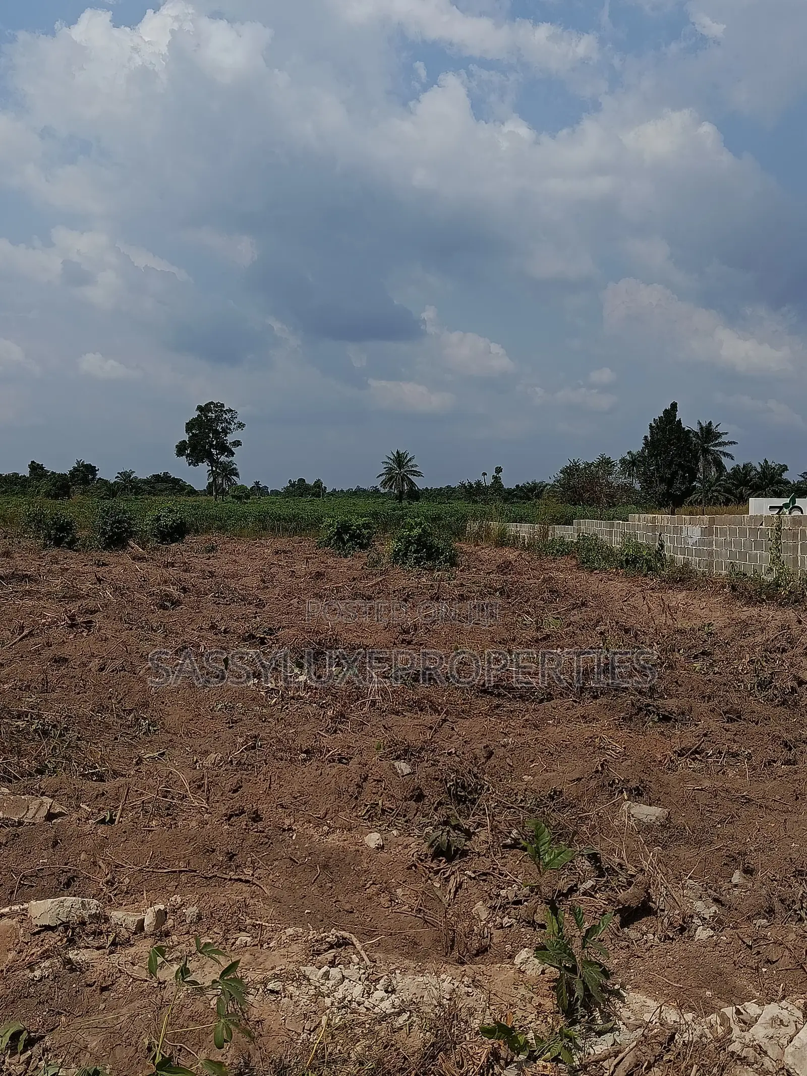 Land for Sale