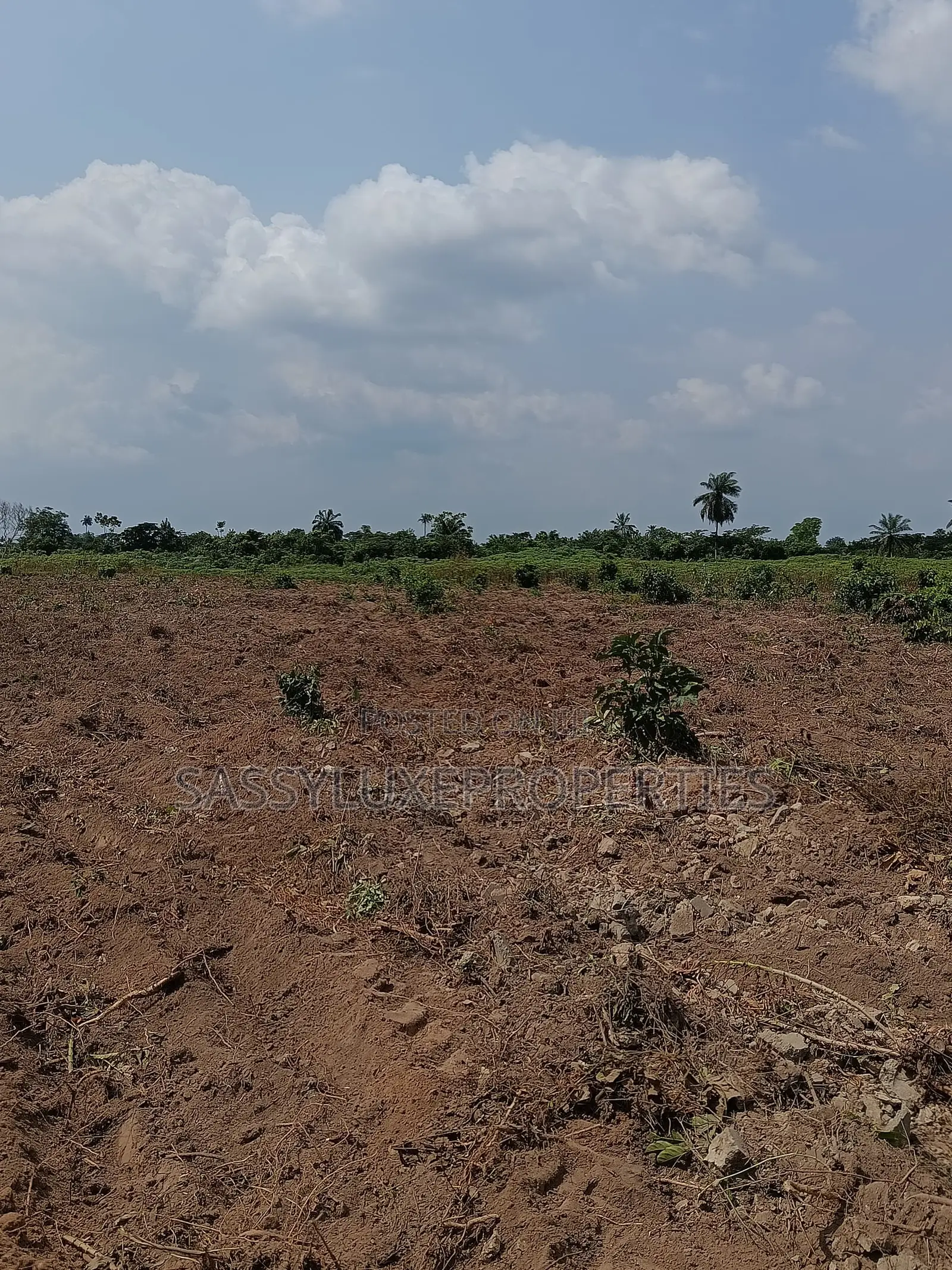 Land for Sale