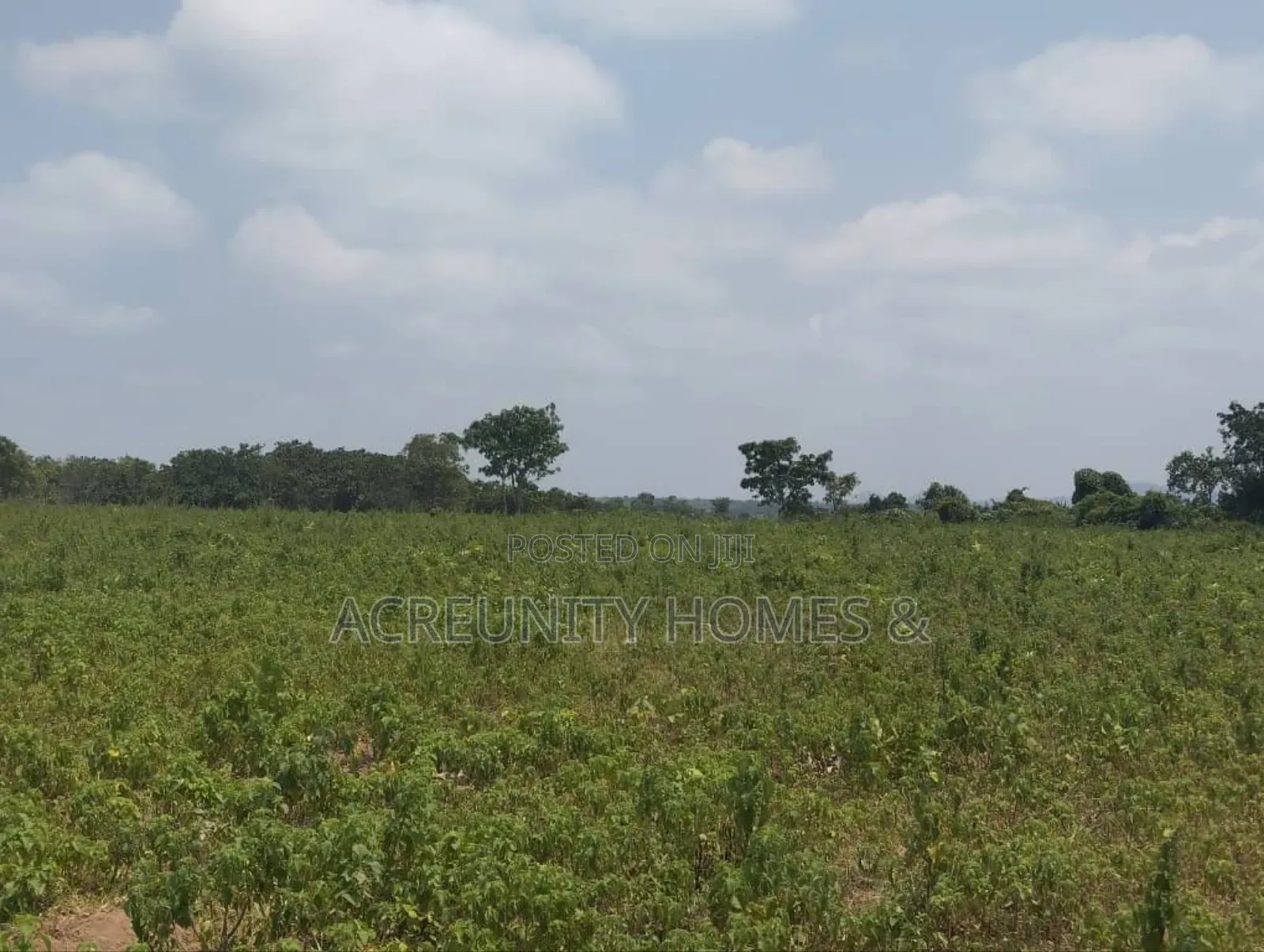 Prime Residential Land