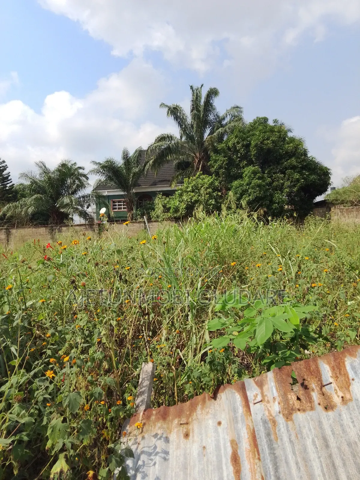 Land and Plots for Sale