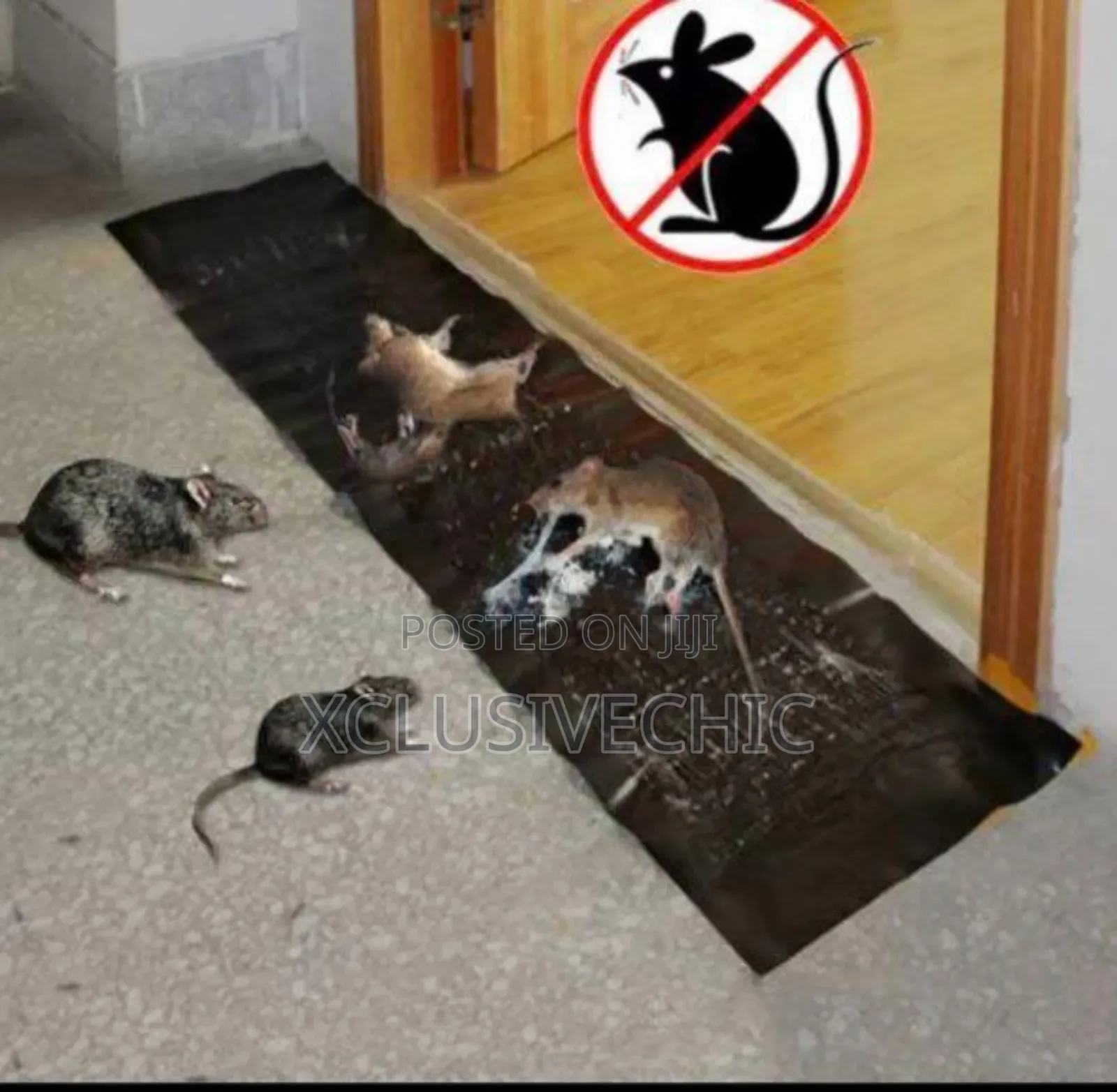 Rat Sticker Gum