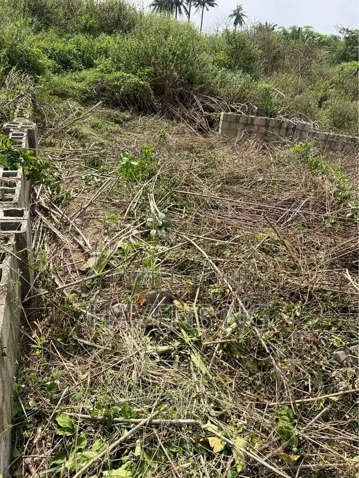 One Plot of Land Available for Sale Ologueru