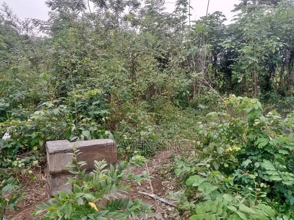 A Multipurpose Land at Ido