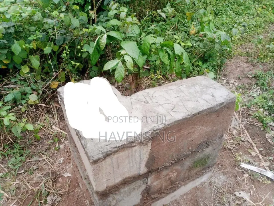A Multipurpose Land at Ido