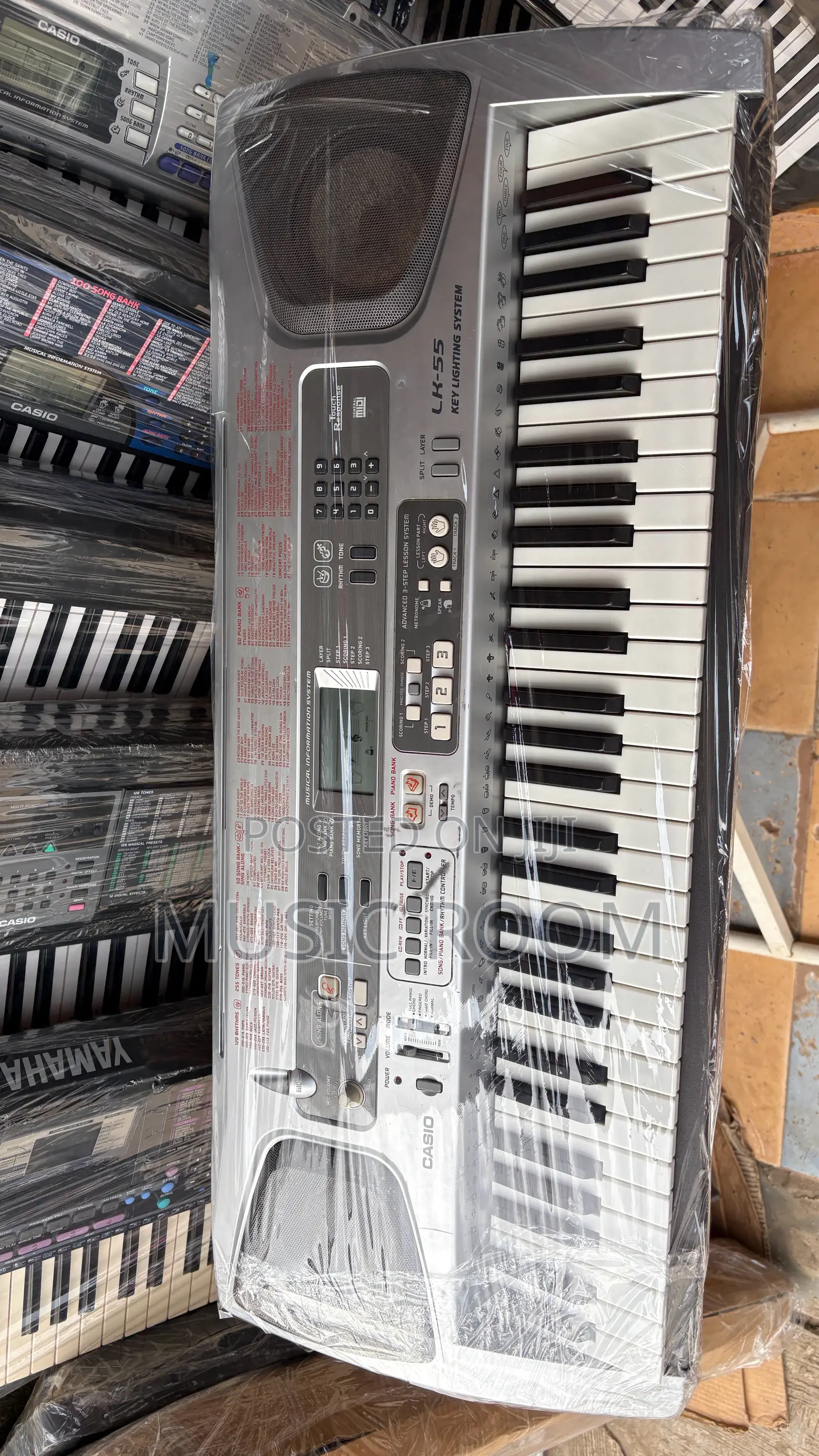 Standard Casio Lk 55 Keyboard