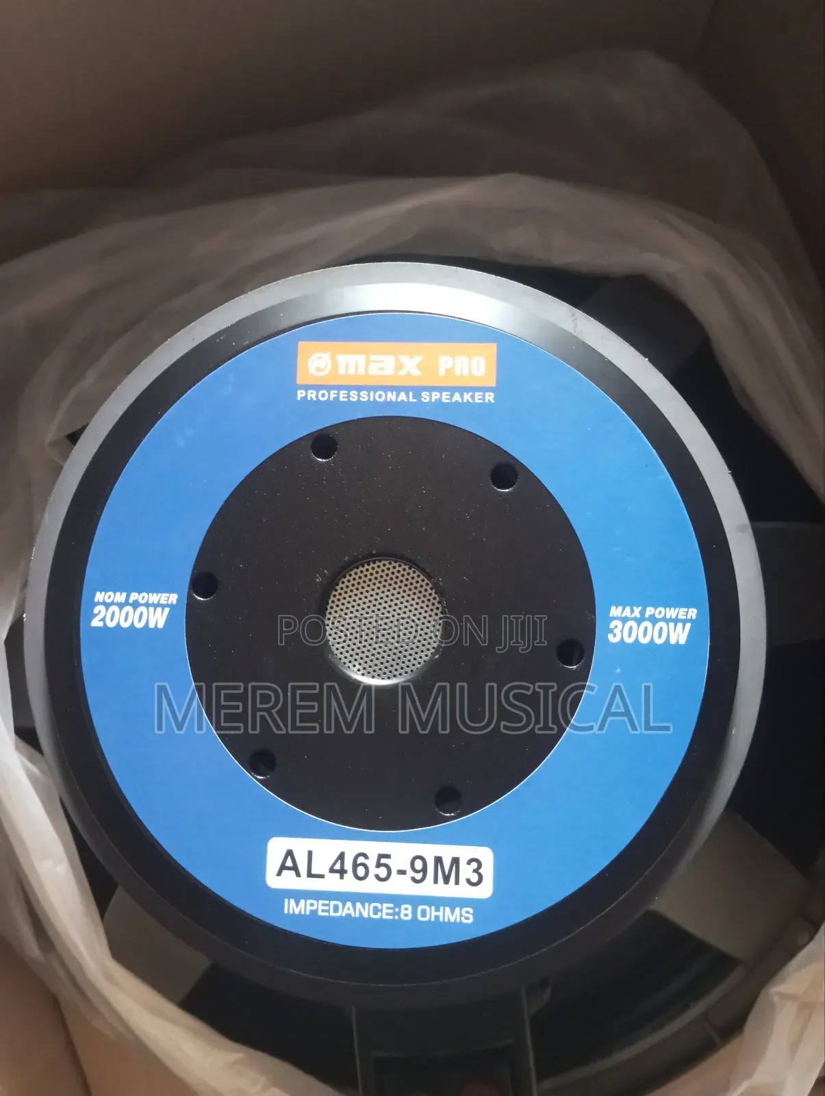 18" Naked Speaker