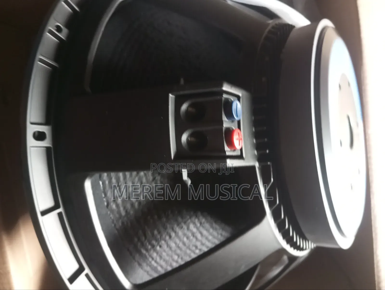 18" Naked Speaker