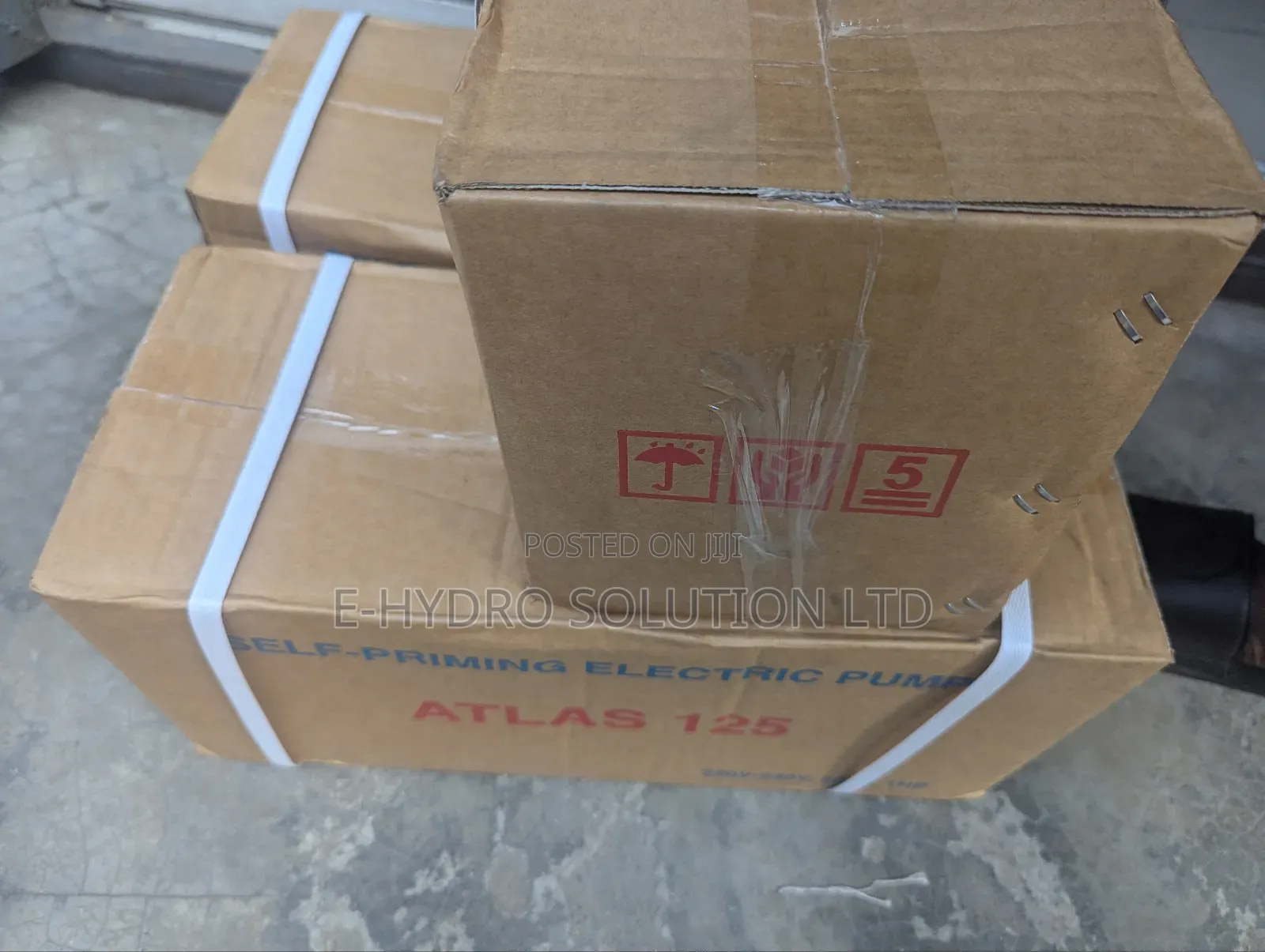 Atlas 125 Pump