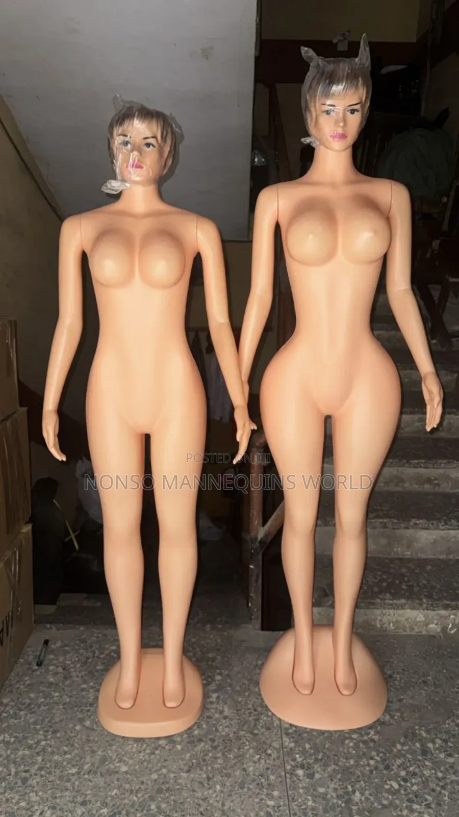 Size 10 And 12 Female Adanma Plastic Mannequin