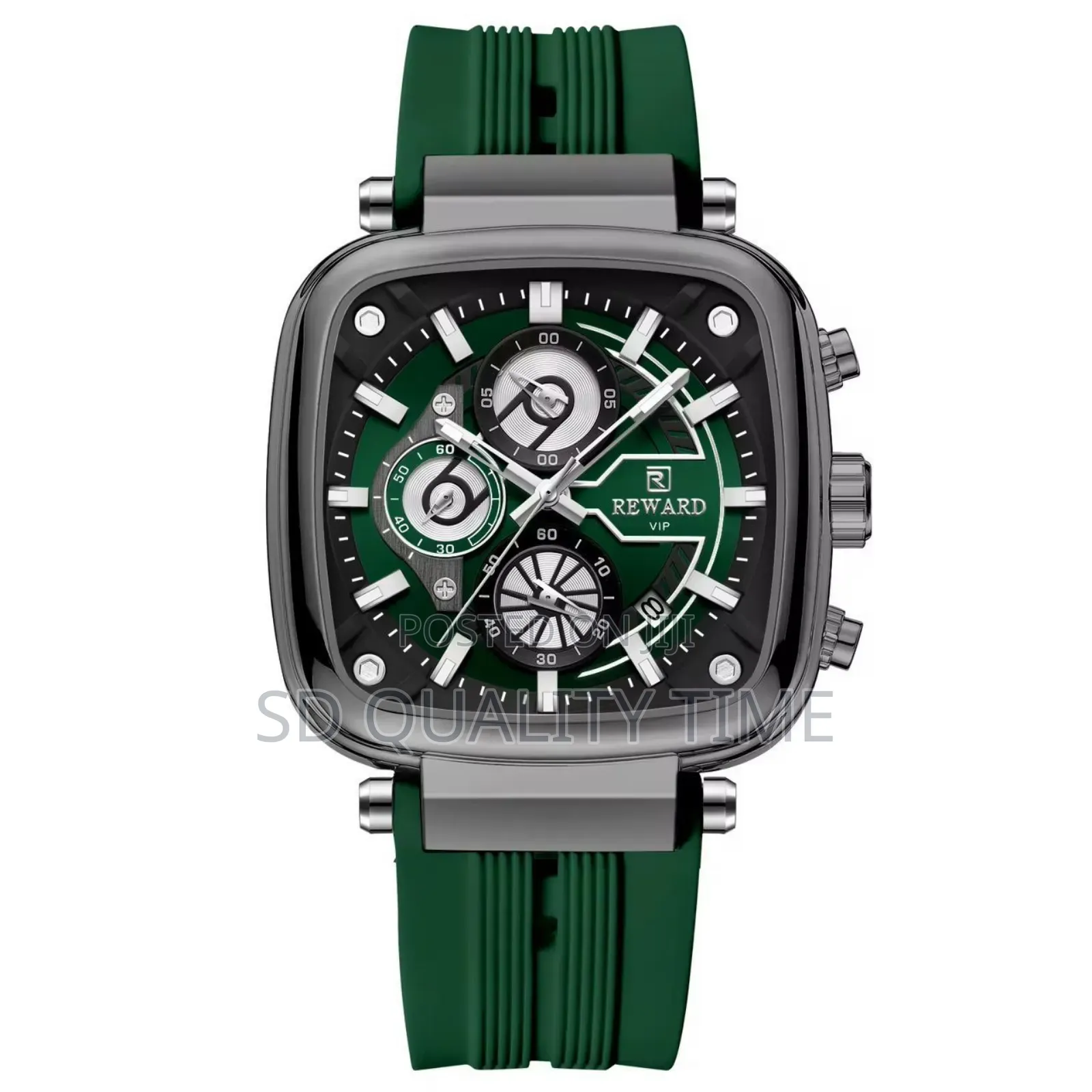 Rewardvip Professional Watch