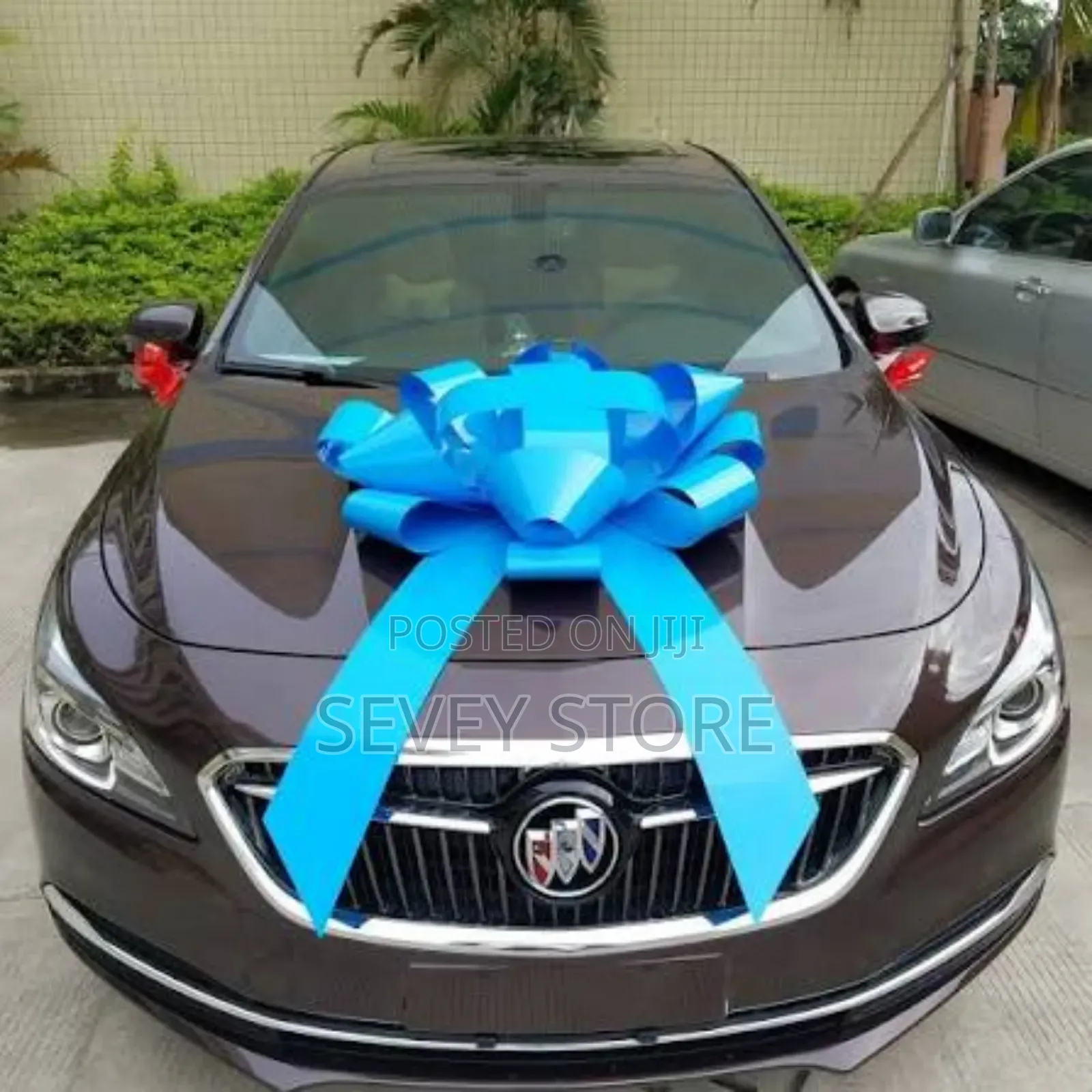 Giant Car Bow for Sale on Order