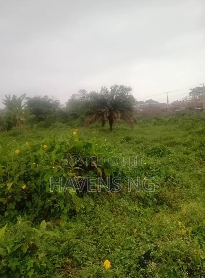 Four Plots Of Land For Sale In Ibadan