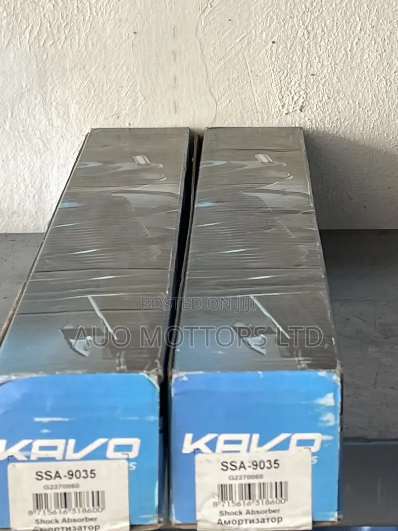 Kavo Back Shock Absorbers for Toyota Rv4