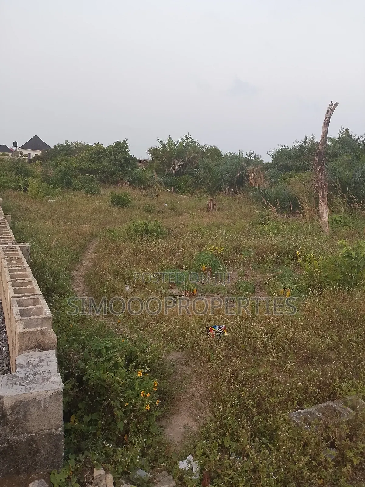2 Plots of Land for Sale at Peace Estate Shangotedo