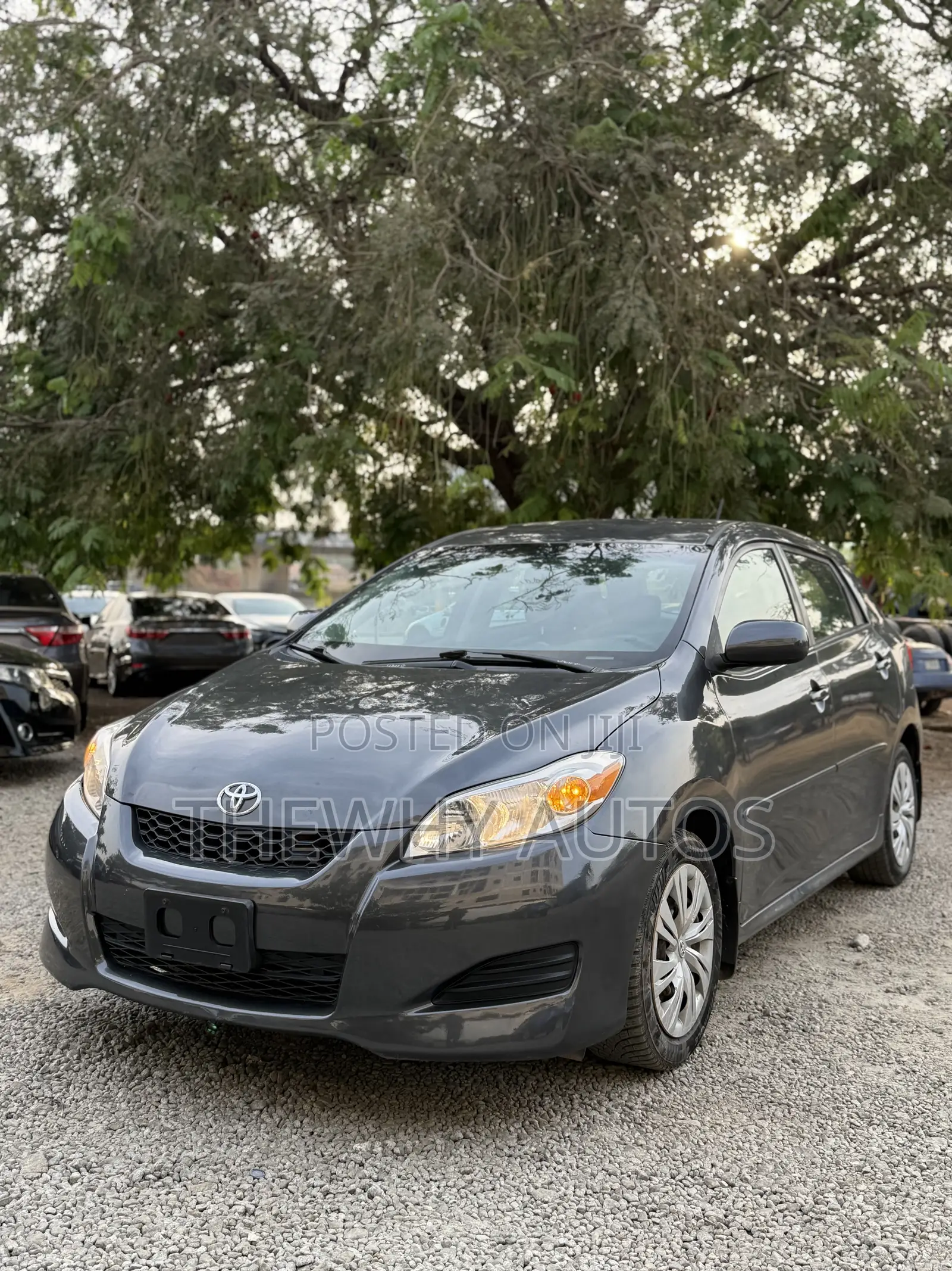 Toyota Matrix Hatchback FWD (1.8L 4cyl 5M) 2009 Gray
