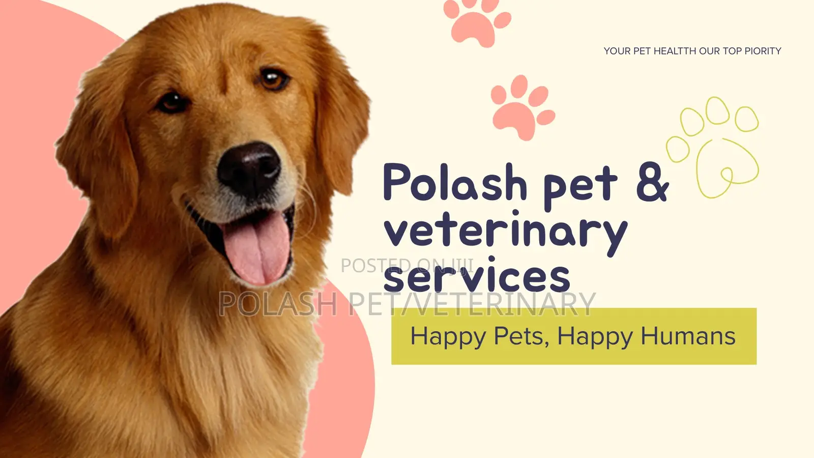 Trusted Vet Services for Dogs – Polash Pet Veterinary Services