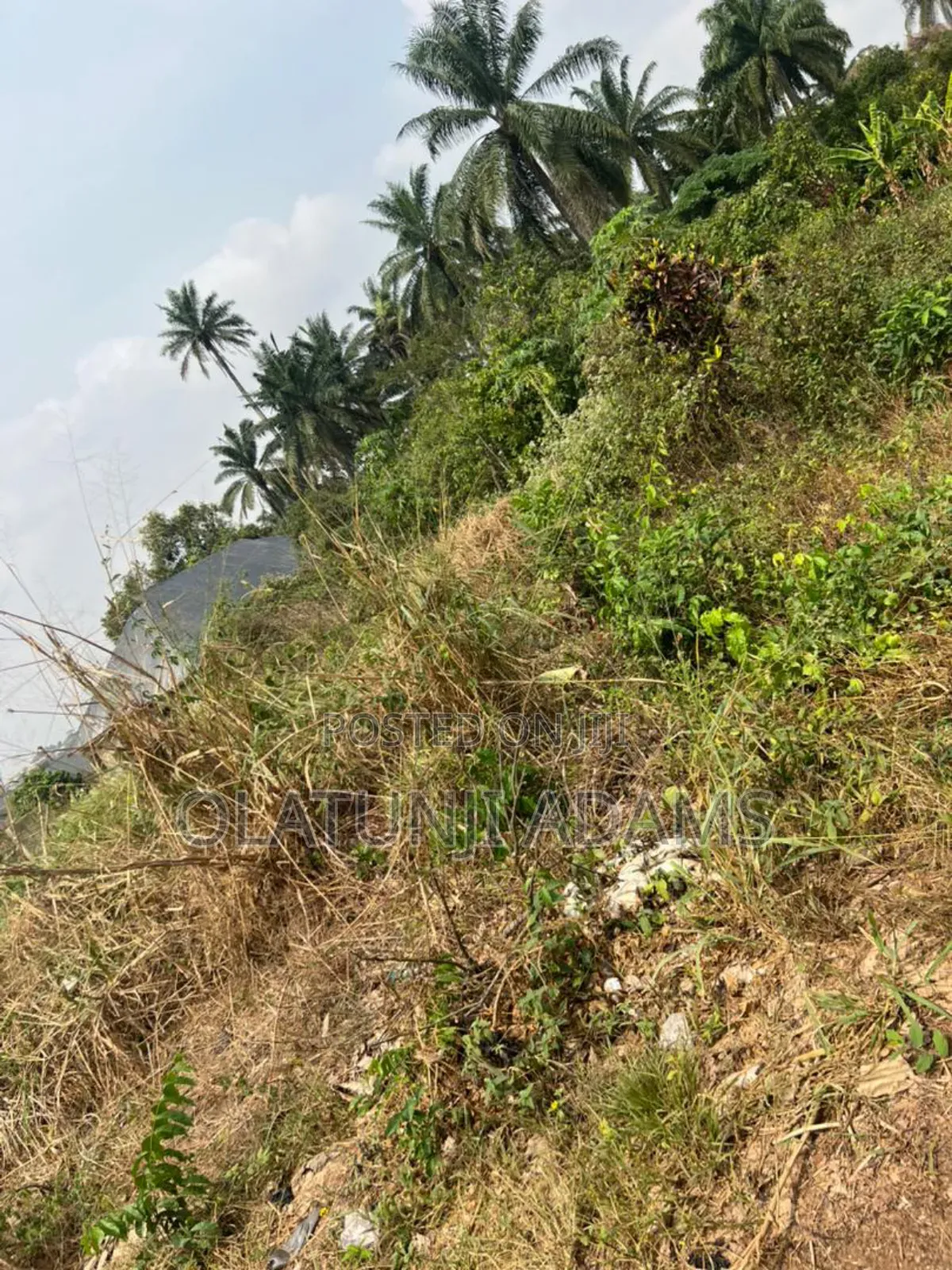 4plot of Land at Onioba Very Close to Tarred Road