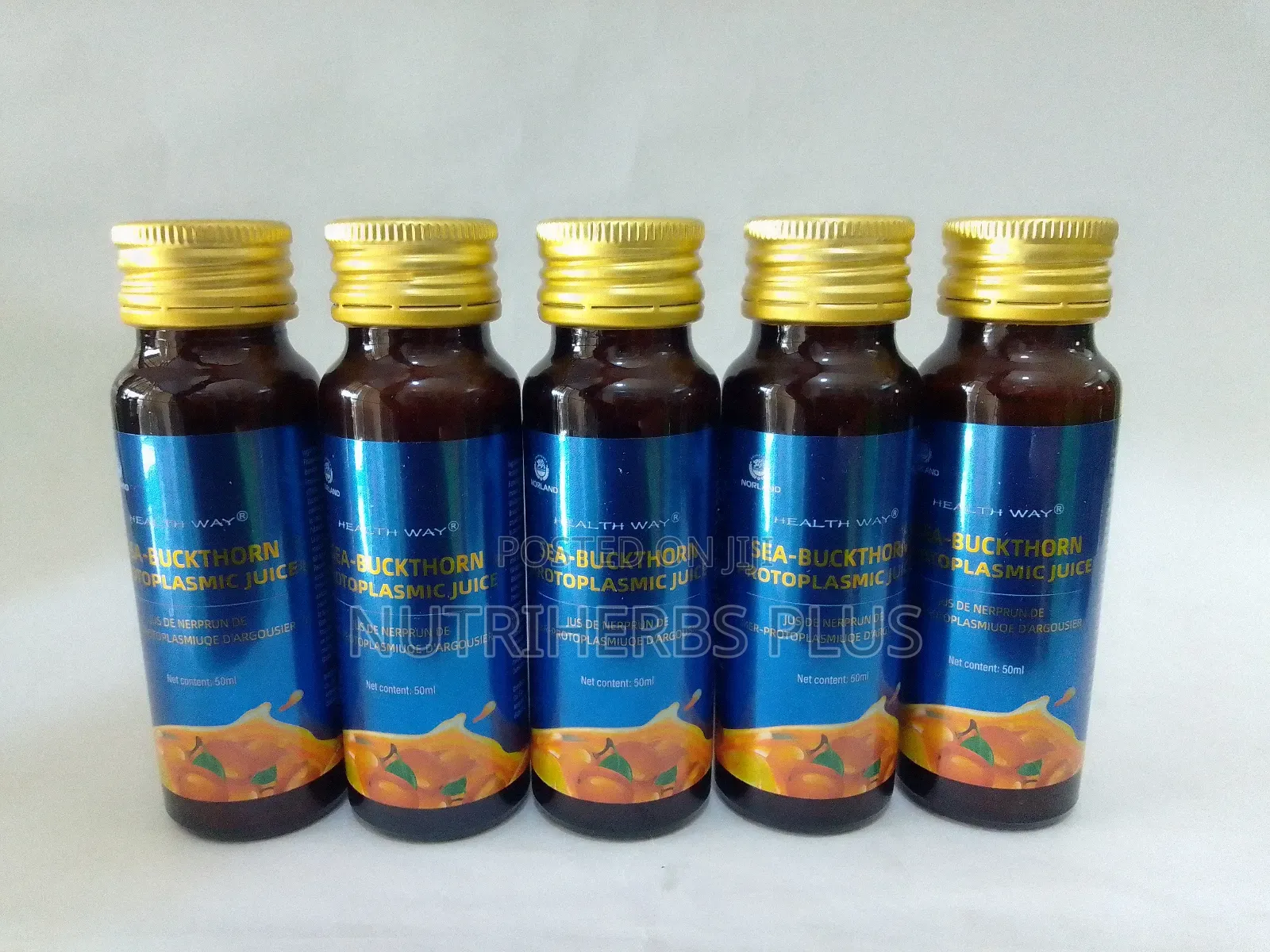 Norland Sea Buckthorn Protoplasmic Juice: For Immune System Skin