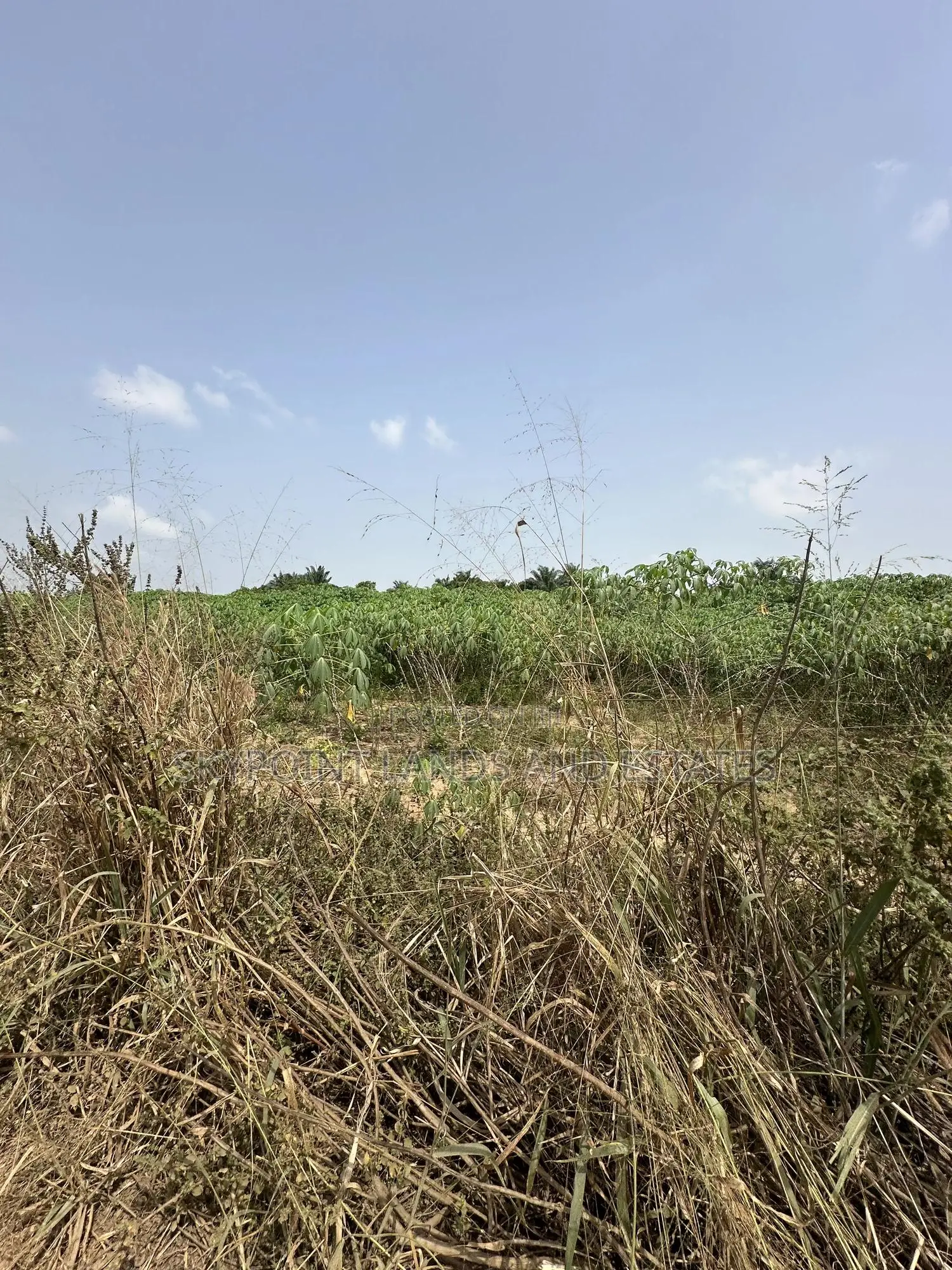 50 Acres Available at Okaka, Itesiwaju Local Government