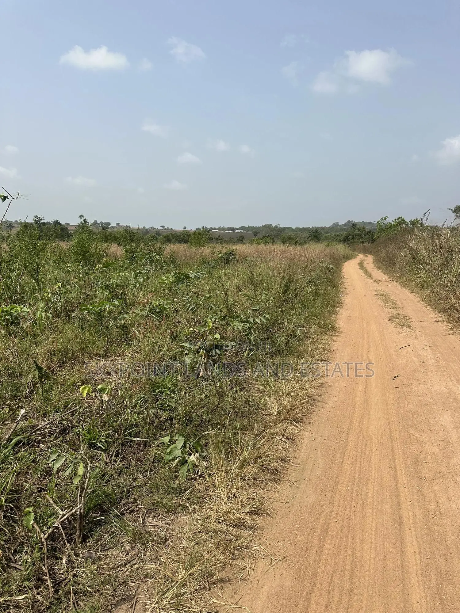 50 Acres Available at Okaka, Itesiwaju Local Government