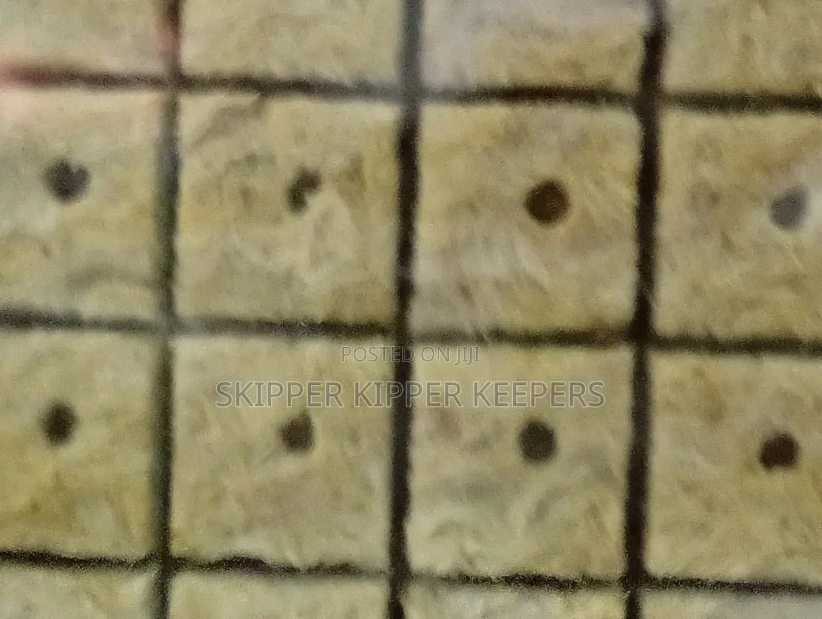 Soiless Seedling Blocks (50 Pcs)