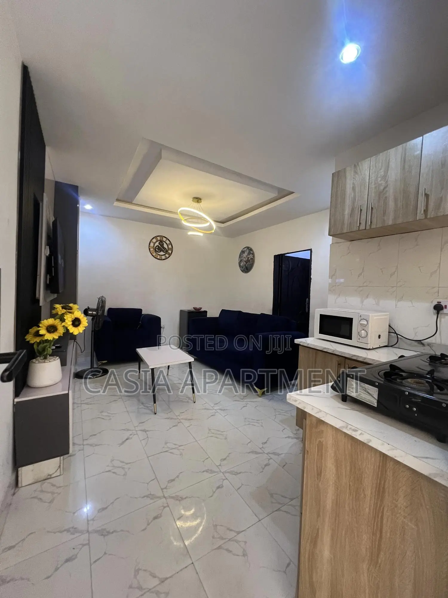 Elegant One Bedroom Apartment In Surulere