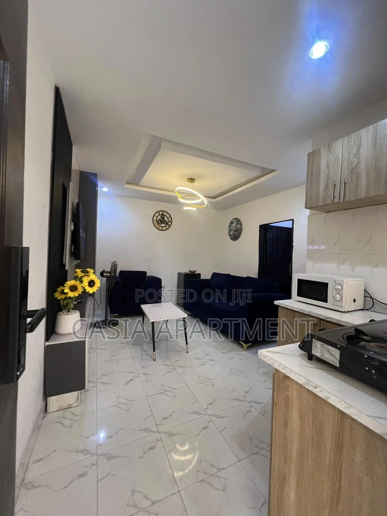 Elegant One Bedroom Apartment In Surulere