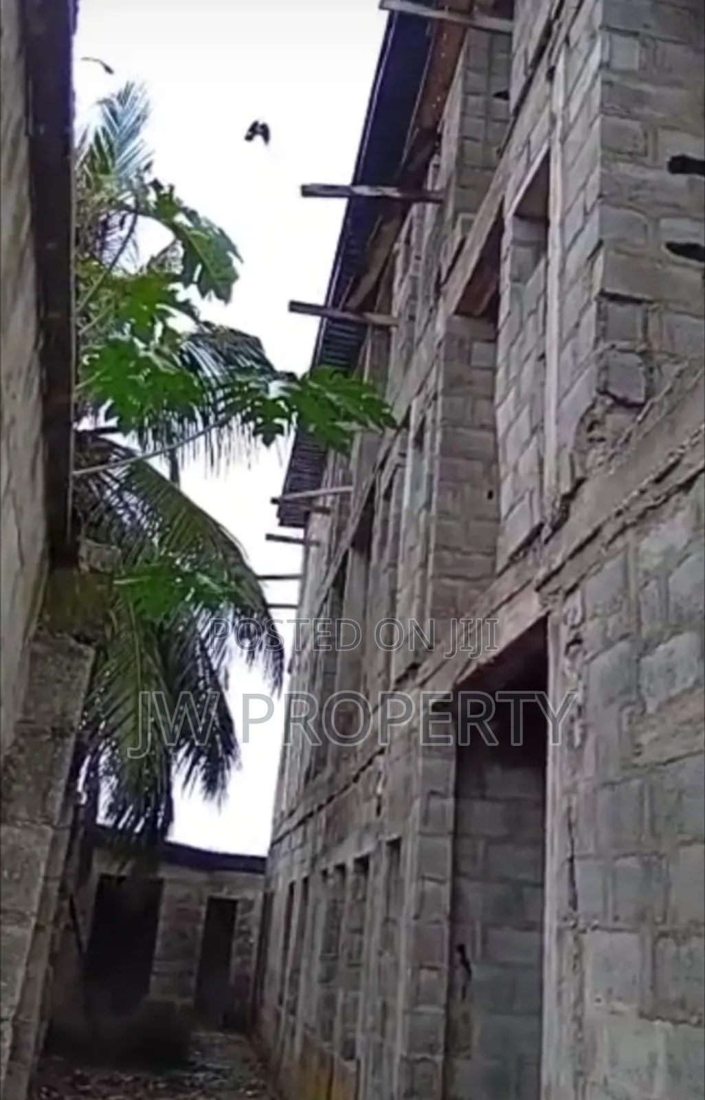 Certificate of Occupancy