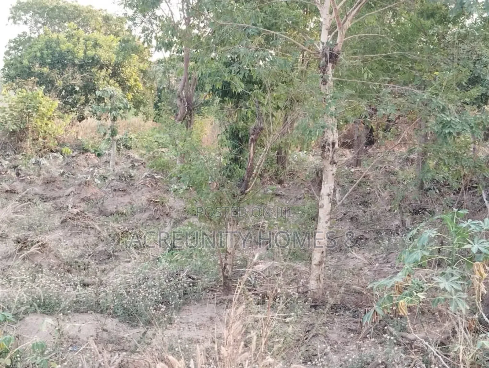  5 Acres of Land for Sale – Km 2, Iseyin–Ibadan Road (Beside Kara )