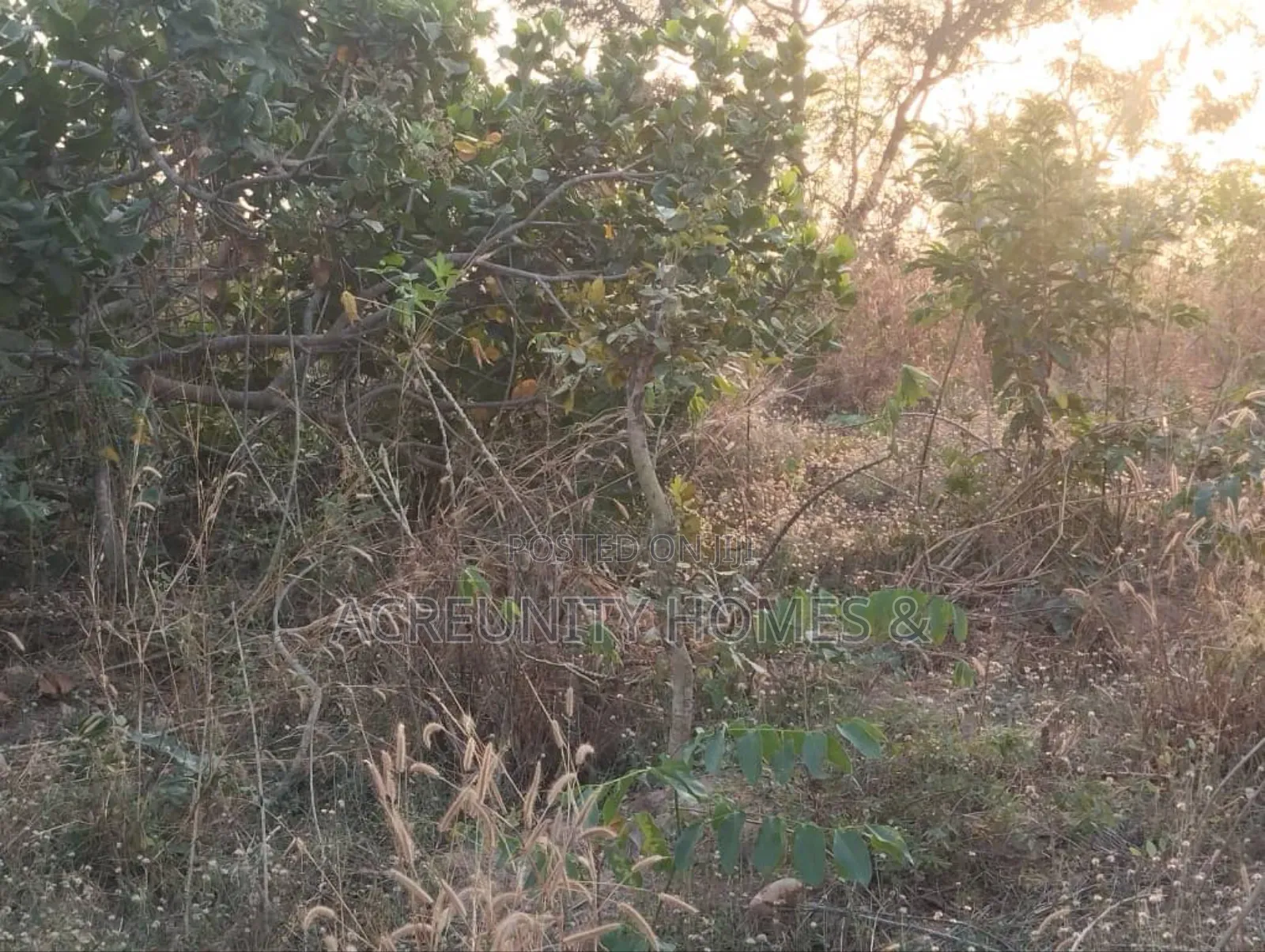  5 Acres of Land for Sale – Km 2, Iseyin–Ibadan Road (Beside Kara )