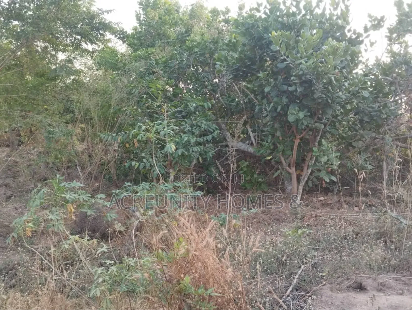  5 Acres of Land for Sale – Km 2, Iseyin–Ibadan Road (Beside Kara )