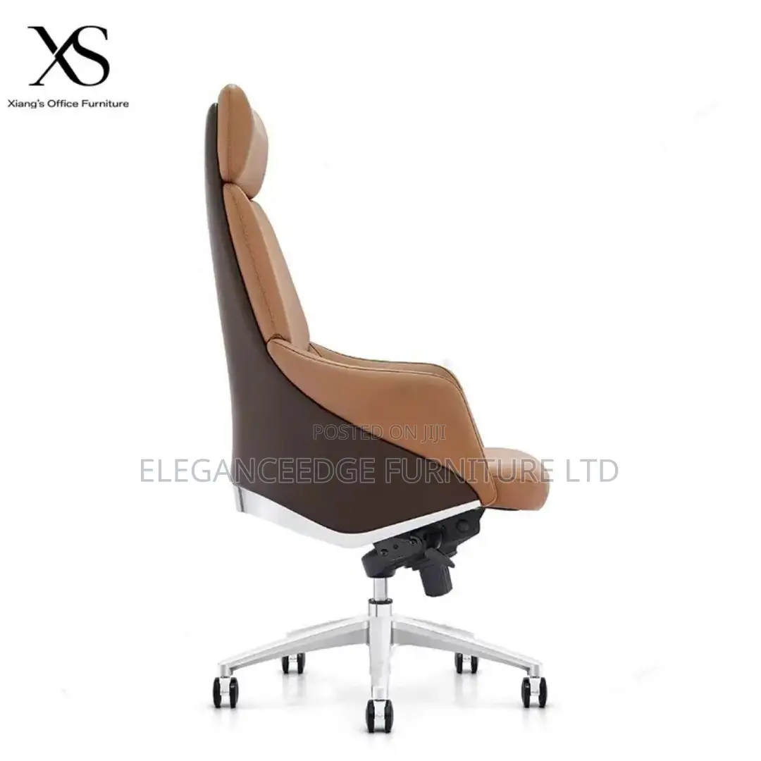 Ergonomic Executive Director Office Chair