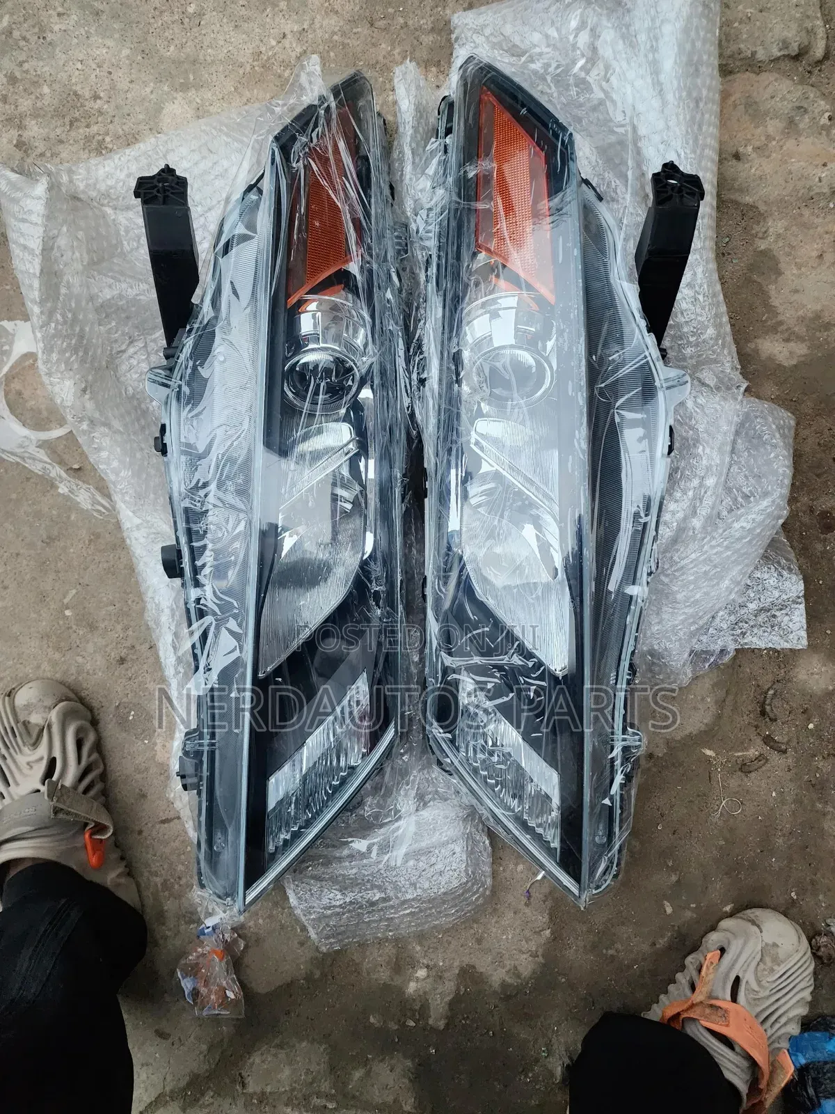 Headlight Honda Crosstour 2010-2012