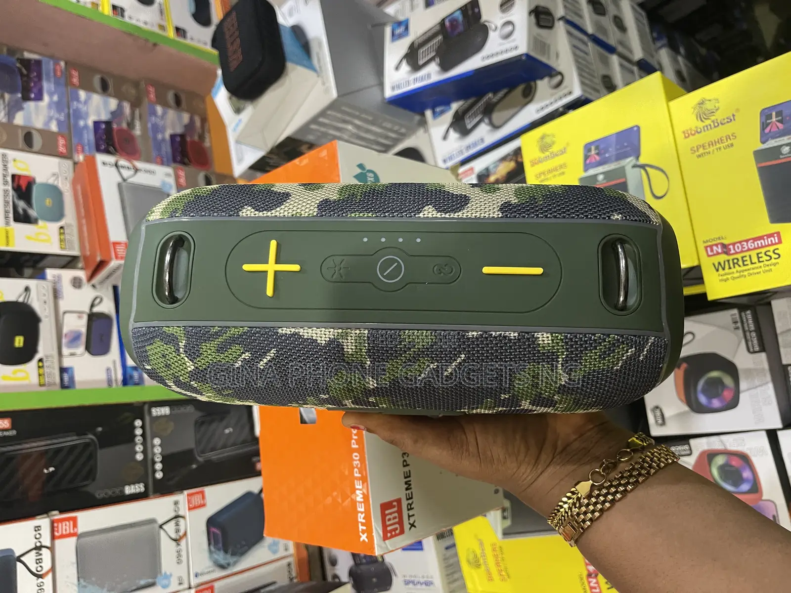 Speaker ( JBL X Treme P 30 Pro)