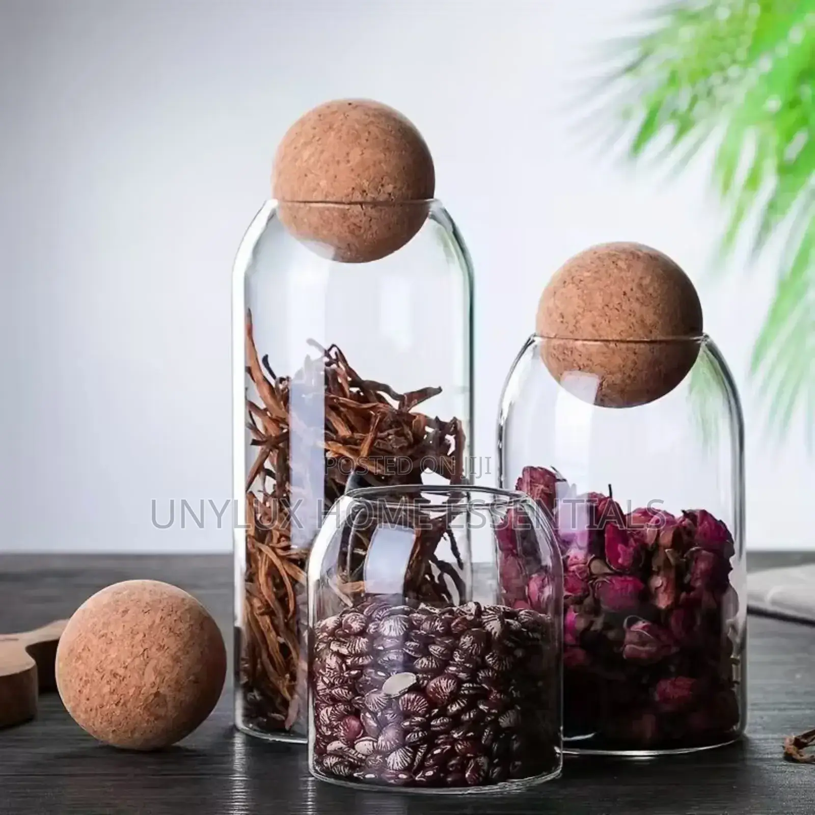 3in1 Stylish Airtight Kitchen Jar