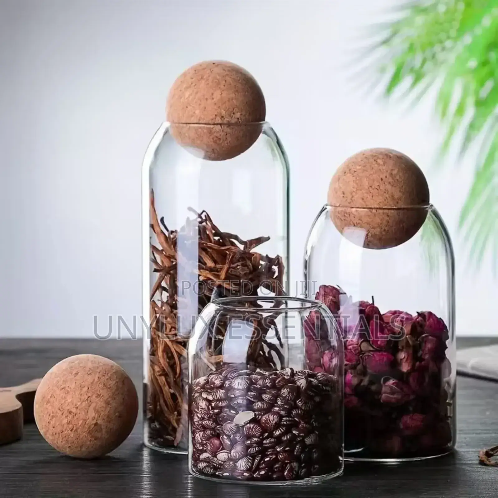 3in1 Stylish Airtight Kitchen Jar