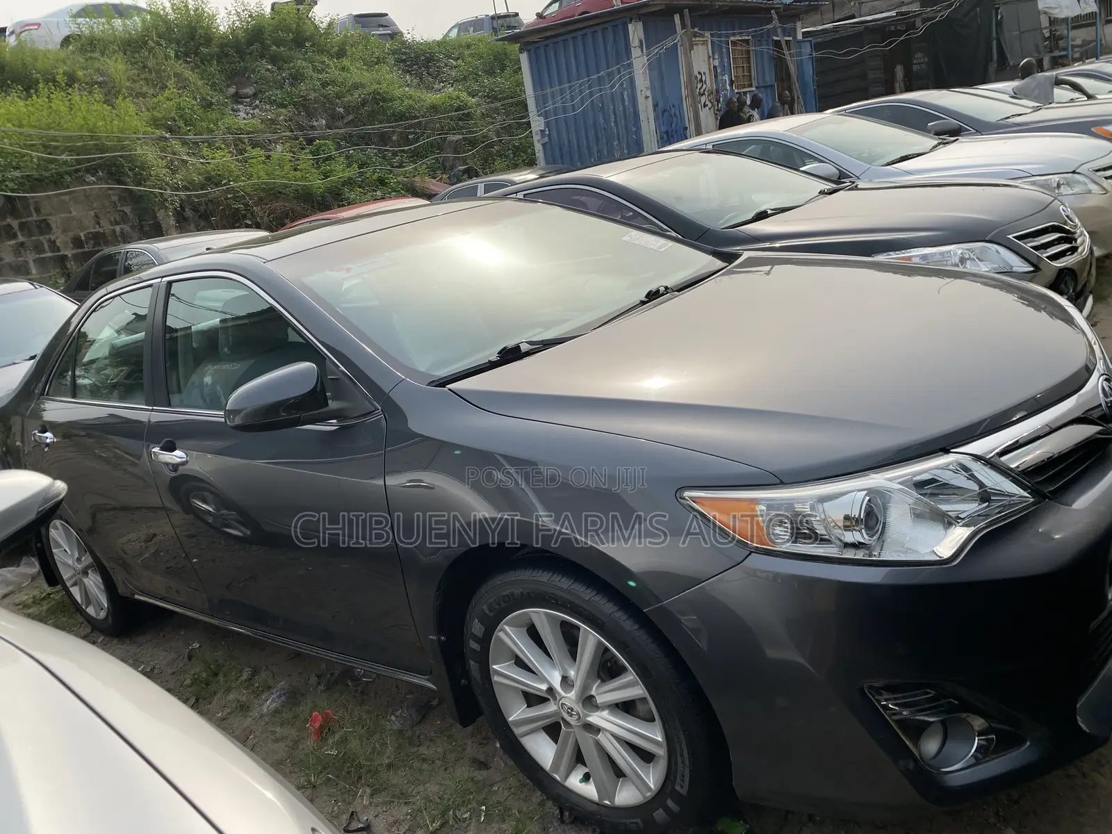 Toyota Camry XLE V6 4dr Sedan (3.5L 6cyl 6A) 2013 Gray