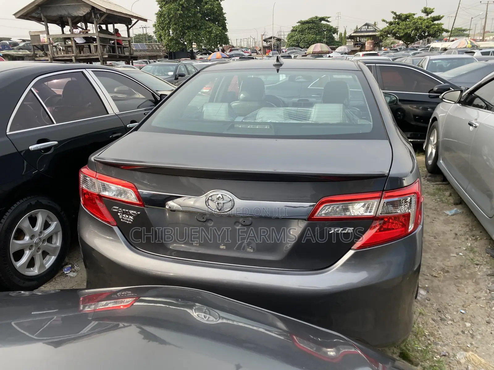Toyota Camry XLE V6 4dr Sedan (3.5L 6cyl 6A) 2013 Gray