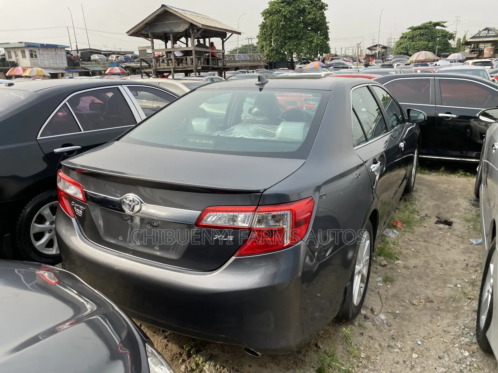 Toyota Camry XLE V6 4dr Sedan (3.5L 6cyl 6A) 2013 Gray
