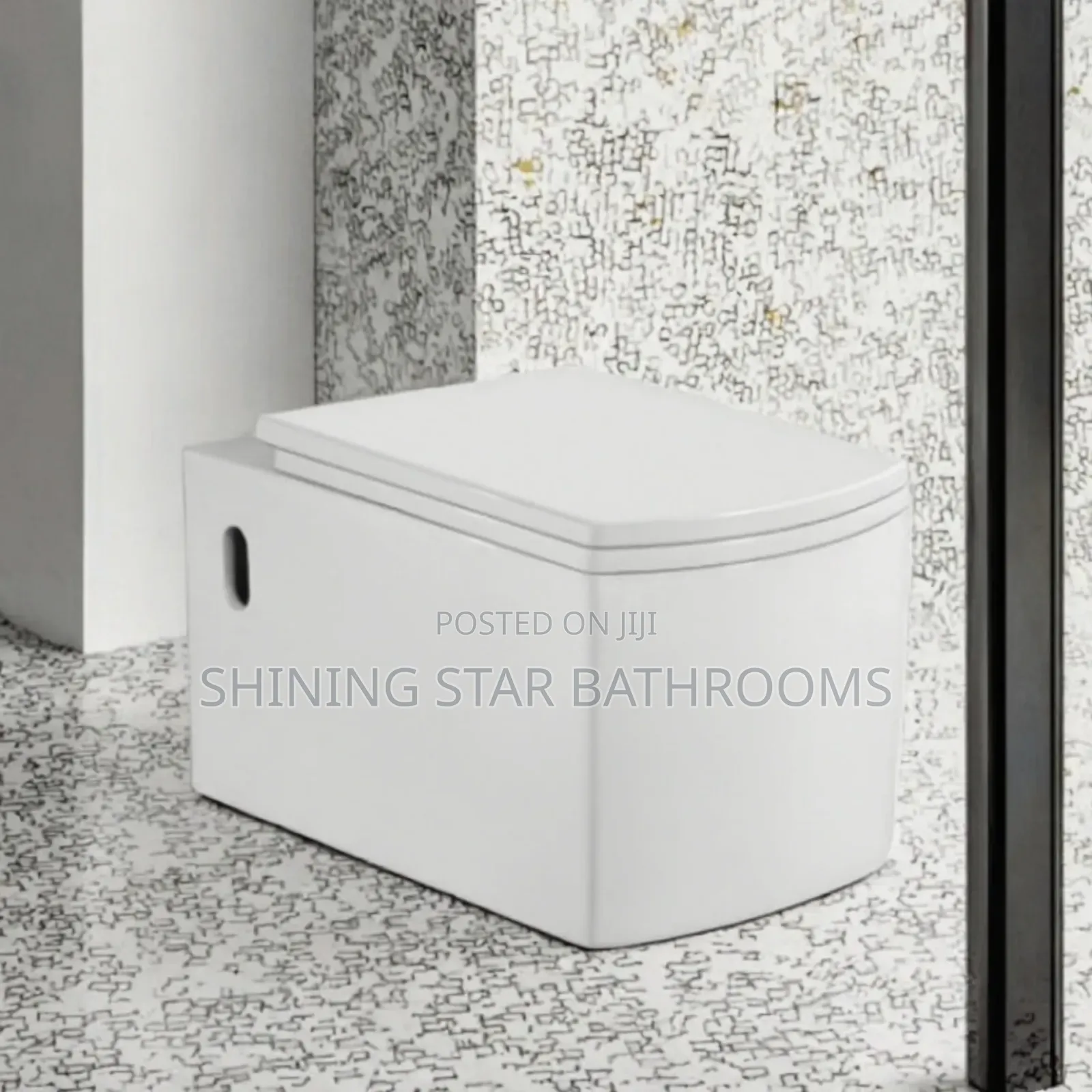 Square Executive Wall Hung Toilet Set