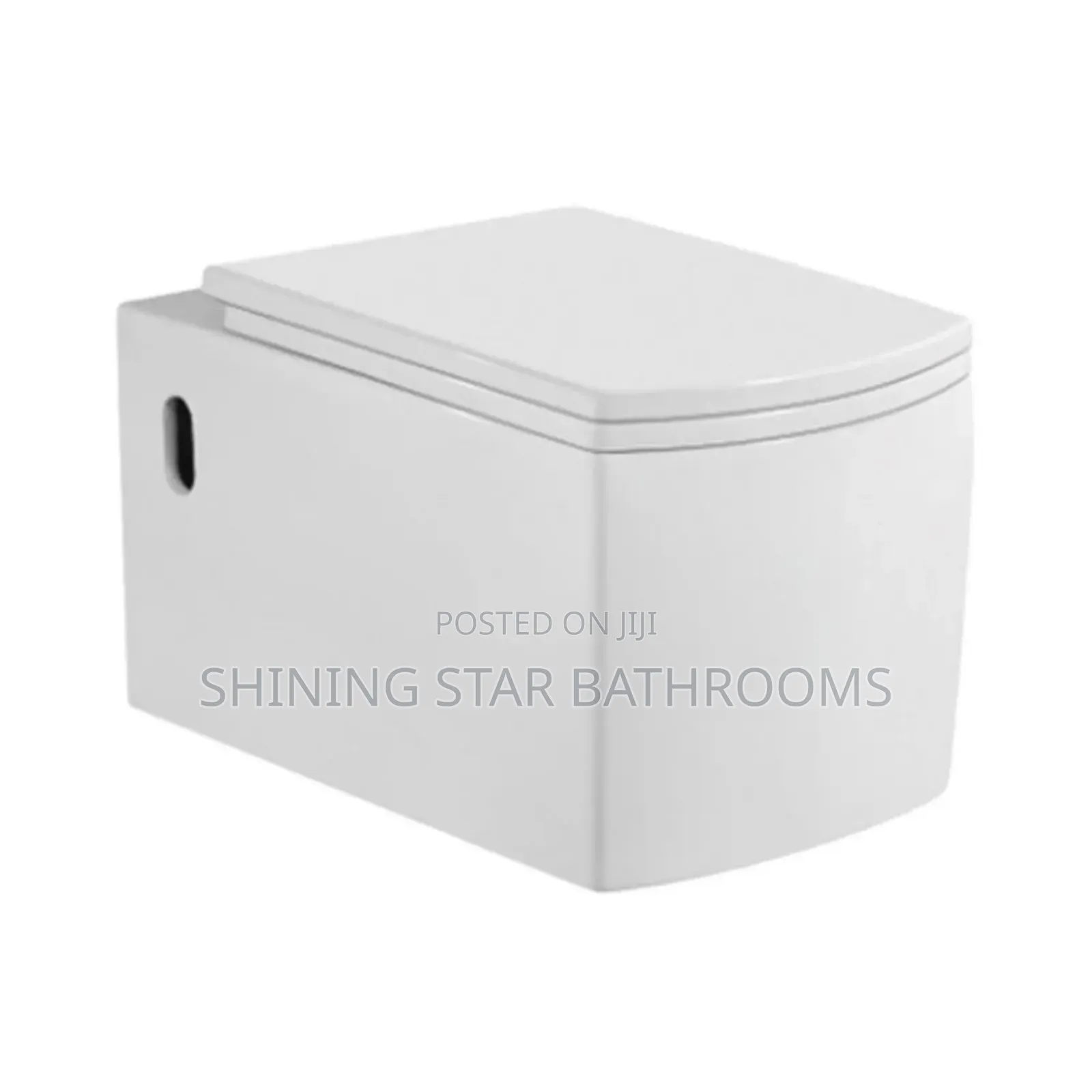 Square Executive Wall Hung Toilet Set