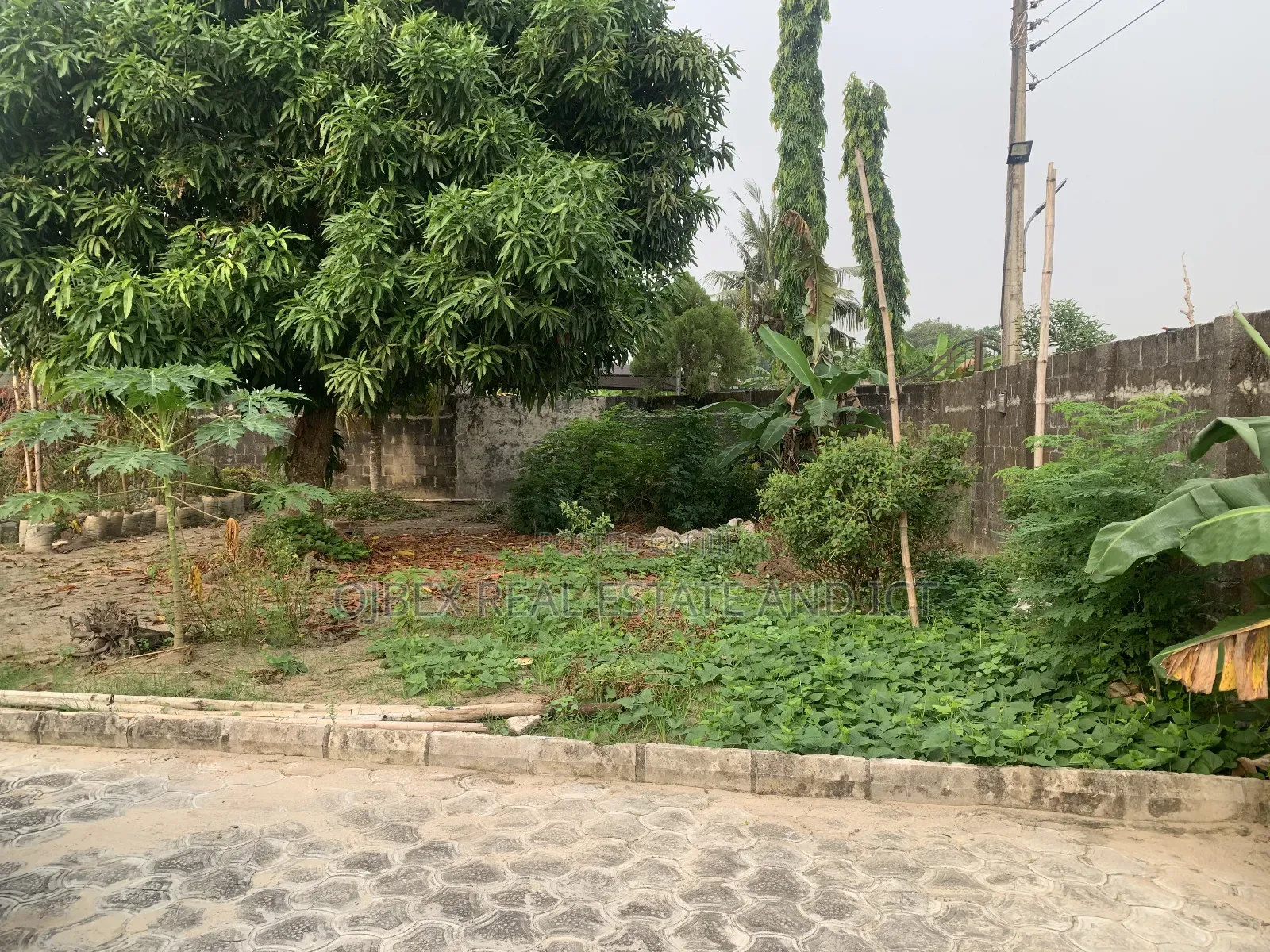 Full Plot of Dry Land Fenced