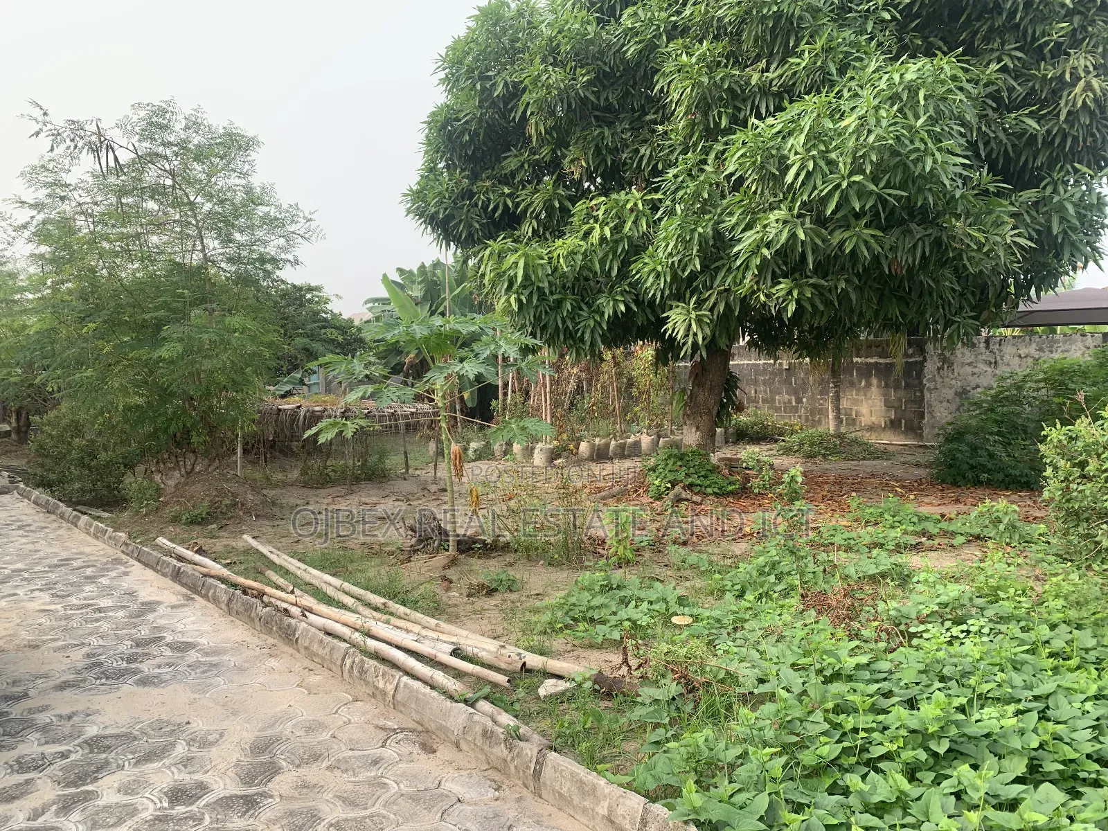 Full Plot of Dry Land Fenced