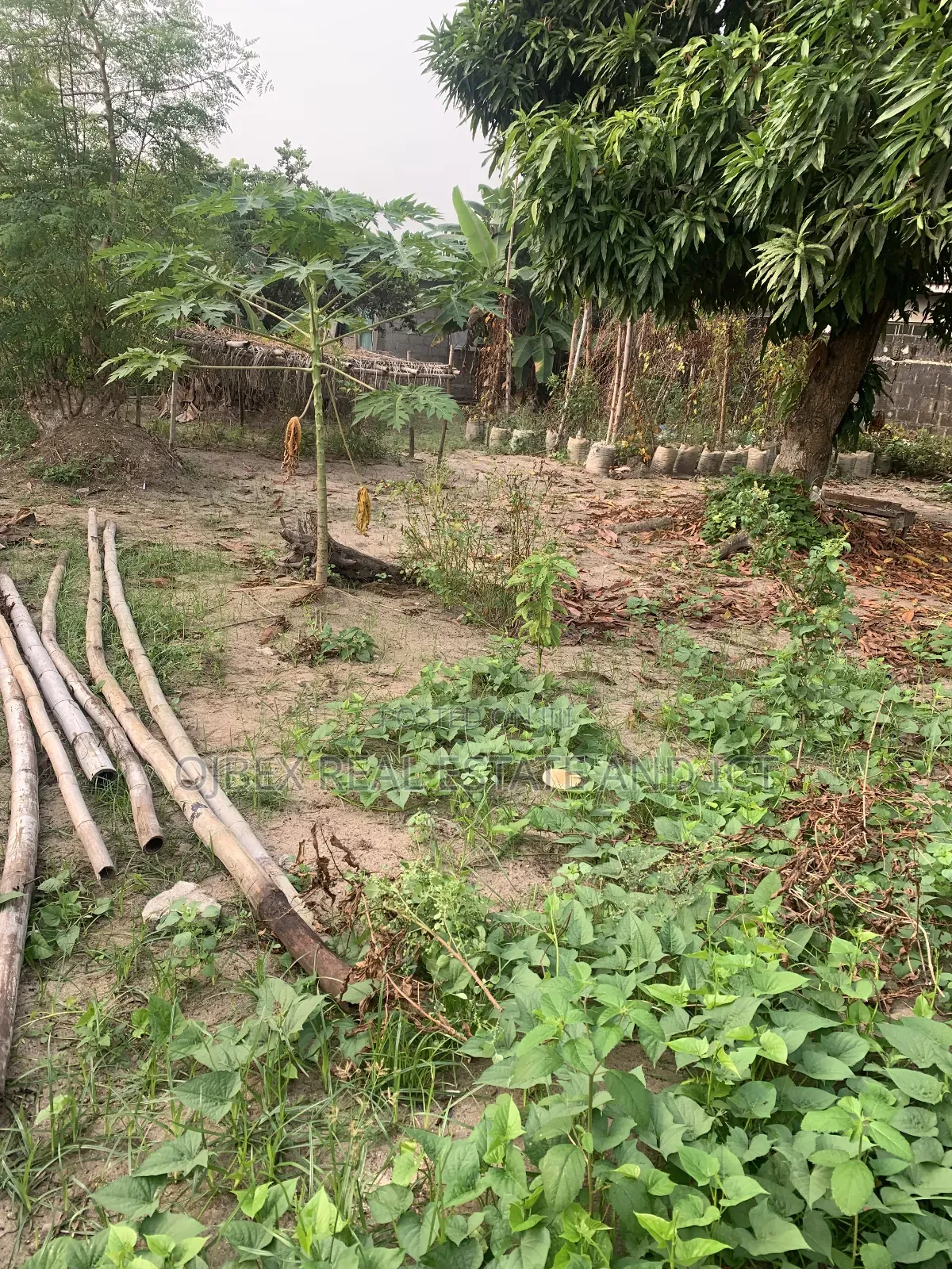 Full Plot of Dry Land Fenced