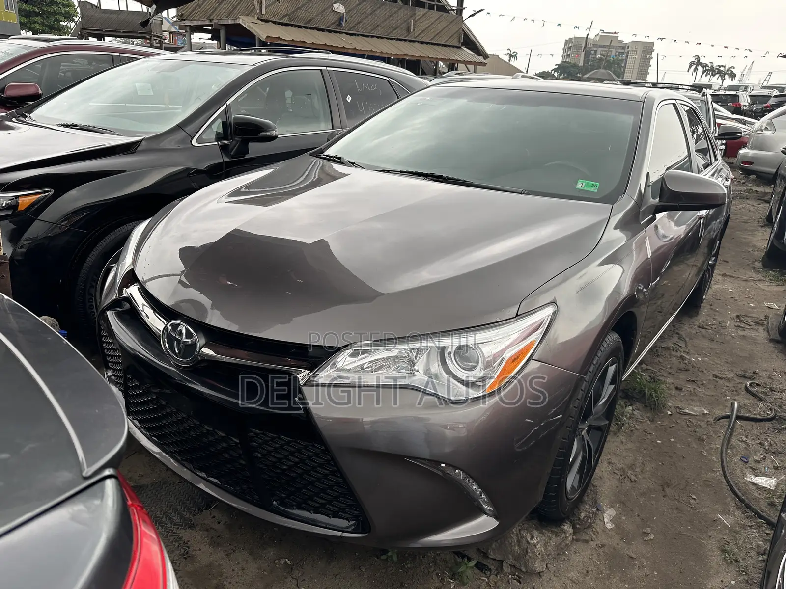 Toyota Camry XLE V6 4dr Sedan (3.6L 6cyl 6A) 2016 Gray
