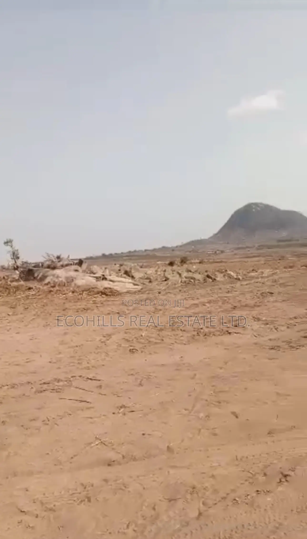 20 Hectares Land in Gousa