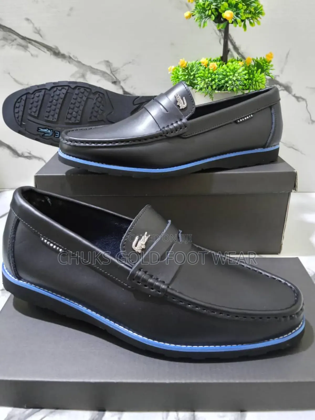 Original Lacoste Shoes Now Available Where Comfort Meets Timeless Styl